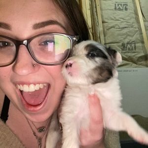 Meet your Posher, Heidi